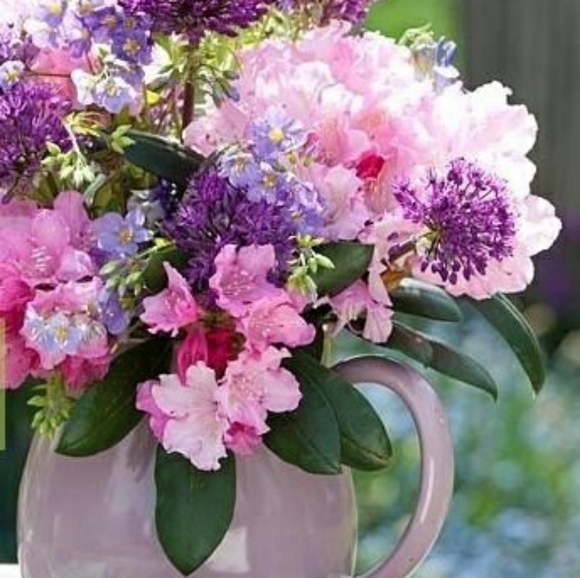 Hi! I'm Marie - Picture 15 of 16